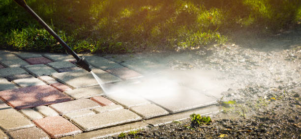 Best Driveway Pressure Washing  in Toona, AL